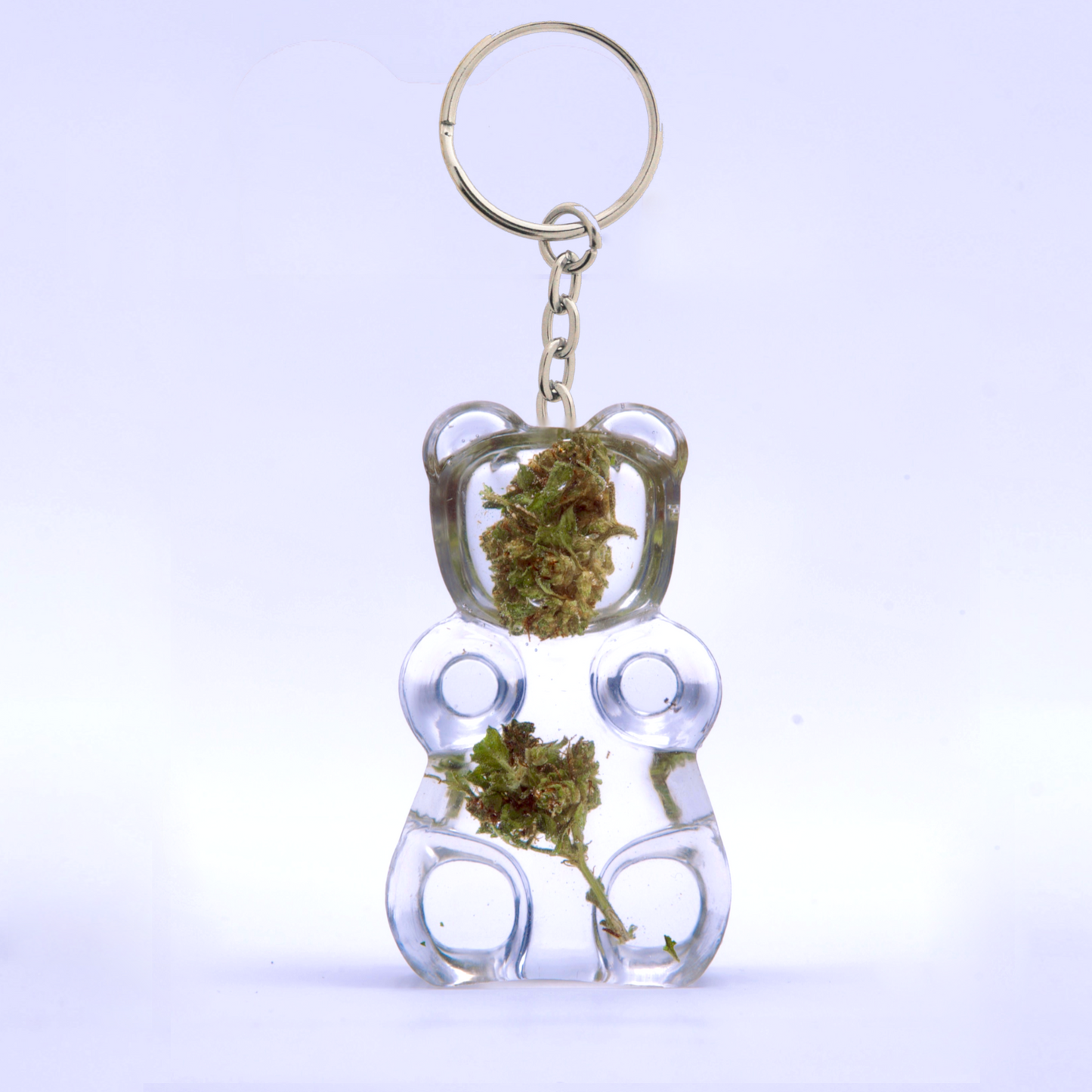 RIBO by Healthlery™ - Keychain